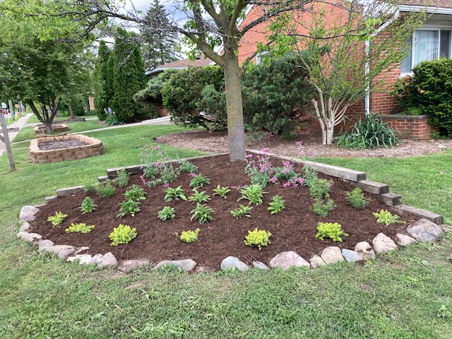 Photo of tree and mulched garden bed with several green plants